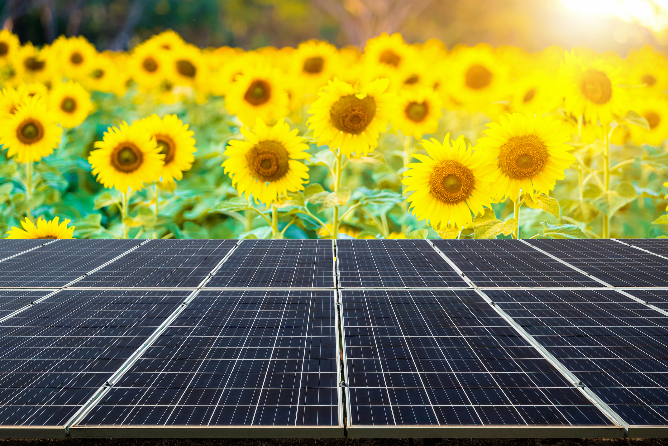 Solar PV for sale